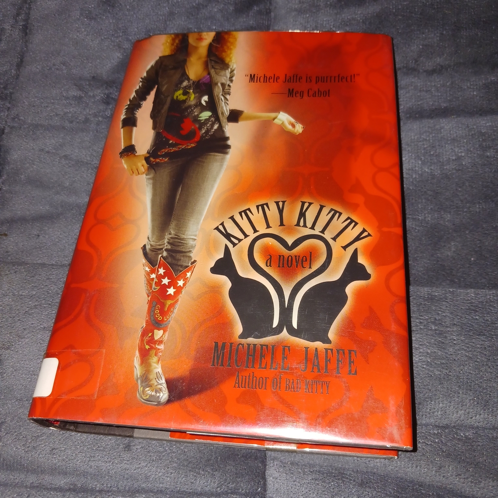 Kitty Kitty Novel by Michele Jaffe